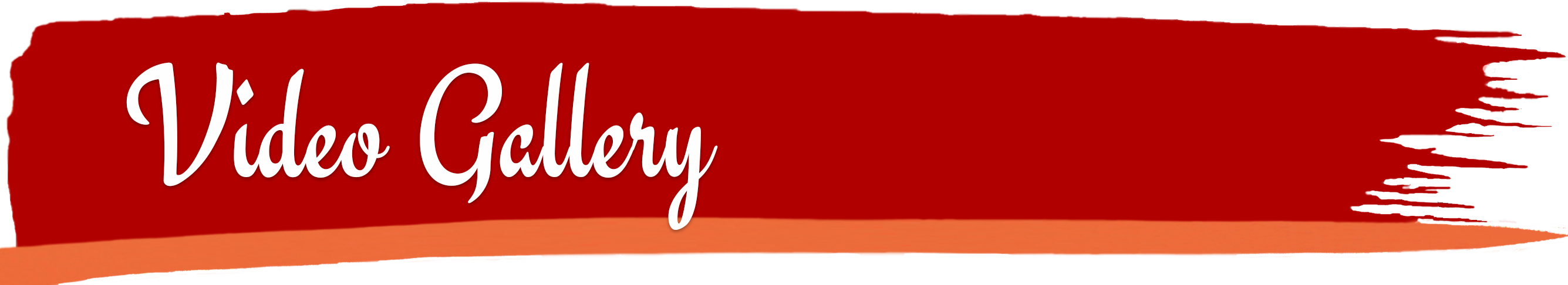 Video Gallery